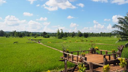 สะพานไม้ 100 ปี