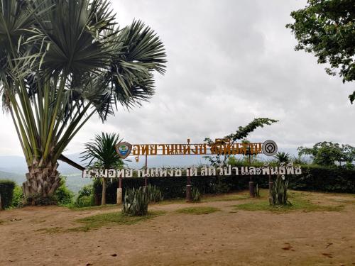 ผาเก็บตะวัน